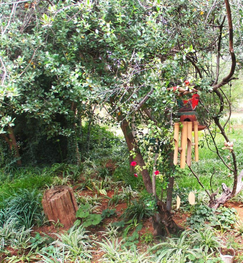 Lekker Rus Bloemfontein Exterior foto